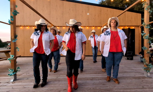 2025 - Démo Aux bonnes planches Roezé sur Sarthe le 11 octobre